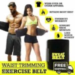 waist trimmer belt